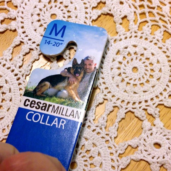 Pet collar, Cesar Milan Dog Collar, orange, 4" to 20" - Picture 3 of 6